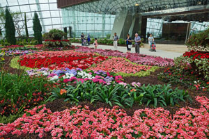 Singapore Attractions