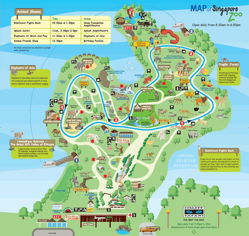 Singapore Attractions 1