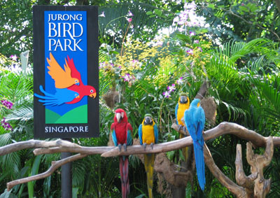 Singapore Attractions