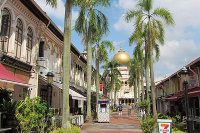 新加坡自助游攻略,甘榜格南马来文化