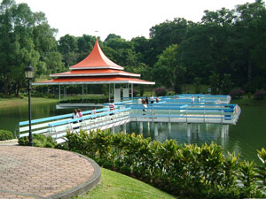 新加坡自助游攻略,麦里芝蓄水池公园