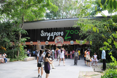 Singapore Attractions
