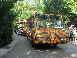 Singapore Attractions