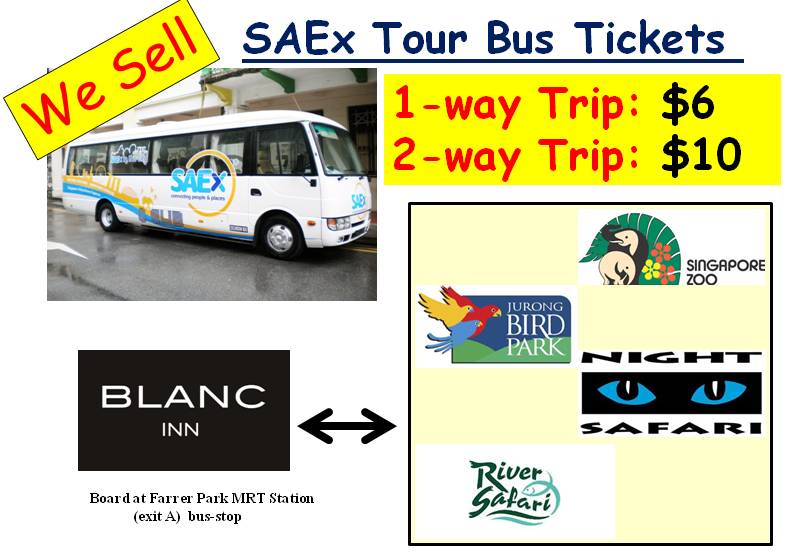 SAEx_bus_ticket