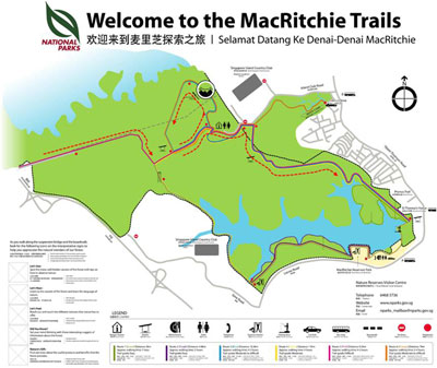 where-to-stay-in-singapore MacRitchie 2