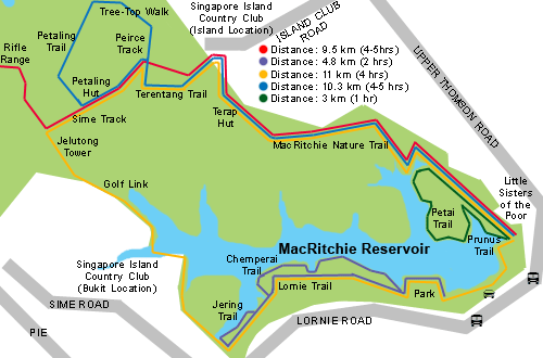 boutique-hotels-singapore-MacRitchie Reservoir Park